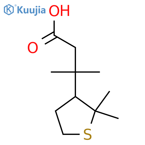 3-(2,2-dimethylthiolan-3-yl)-3-methylbutanoic acid structure