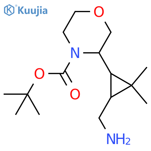 tert-butyl 3-3-(aminomethyl)-2,2-dimethylcyclopropylmorpholine-4-carboxylate structure