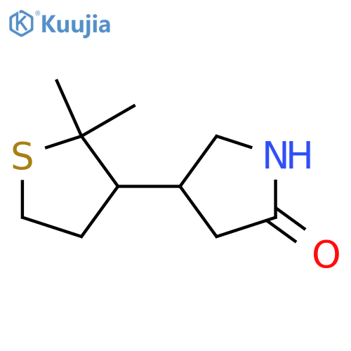 4-(2,2-dimethylthiolan-3-yl)pyrrolidin-2-one structure