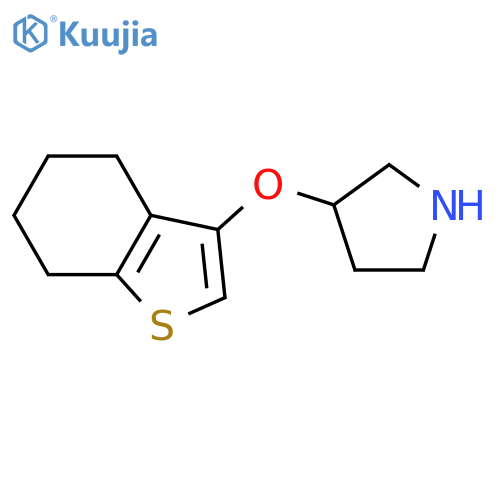 3-(4,5,6,7-tetrahydro-1-benzothiophen-3-yloxy)pyrrolidine structure