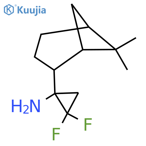 1-{6,6-dimethylbicyclo3.1.1heptan-2-yl}-2,2-difluorocyclopropan-1-amine structure