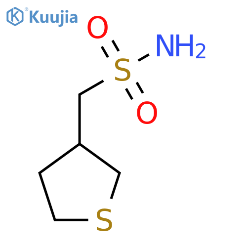(thiolan-3-yl)methanesulfonamide structure