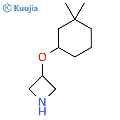 3-(3,3-dimethylcyclohexyl)oxyazetidine structure