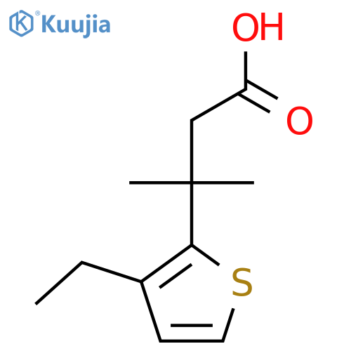 3-(3-ethylthiophen-2-yl)-3-methylbutanoic acid structure
