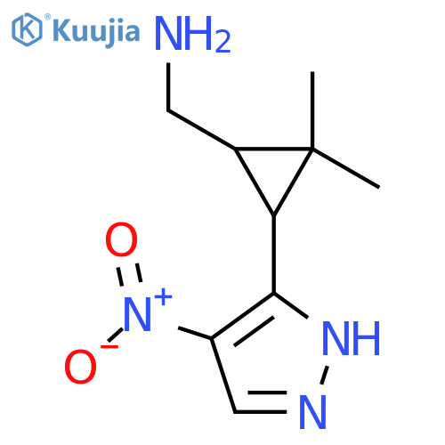2,2-dimethyl-3-(4-nitro-1H-pyrazol-3-yl)cyclopropylmethanamine structure