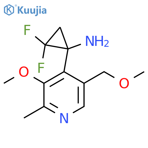 2,2-difluoro-1-3-methoxy-5-(methoxymethyl)-2-methylpyridin-4-ylcyclopropan-1-amine structure