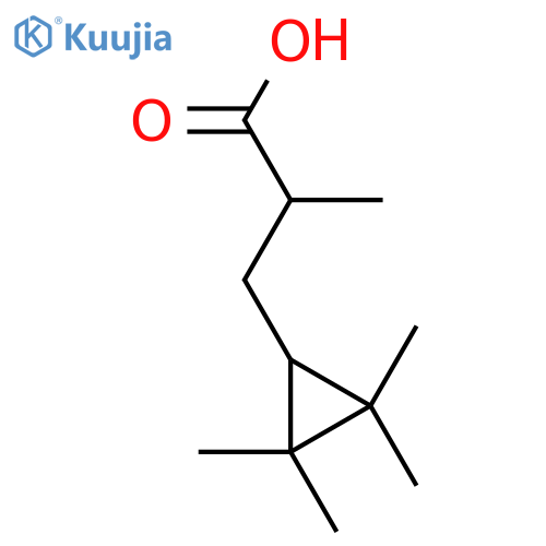 2-methyl-3-(2,2,3,3-tetramethylcyclopropyl)propanoic acid structure