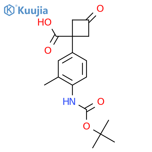 1-(4-{(tert-butoxy)carbonylamino}-3-methylphenyl)-3-oxocyclobutane-1-carboxylic acid structure