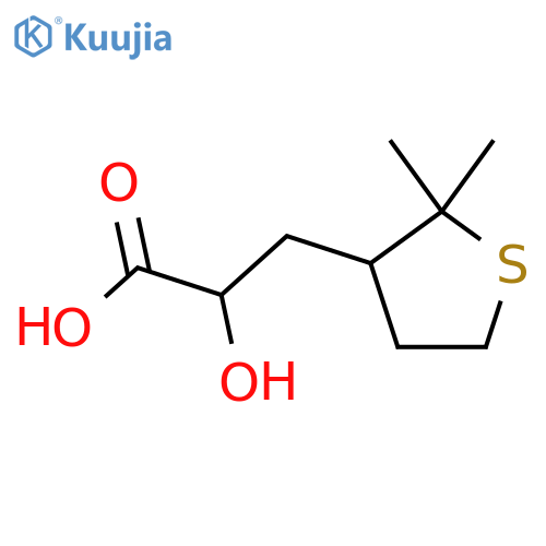 3-(2,2-dimethylthiolan-3-yl)-2-hydroxypropanoic acid structure