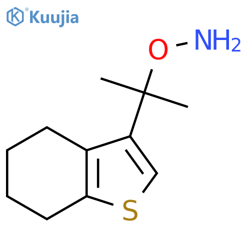 O-2-(4,5,6,7-tetrahydro-1-benzothiophen-3-yl)propan-2-ylhydroxylamine structure