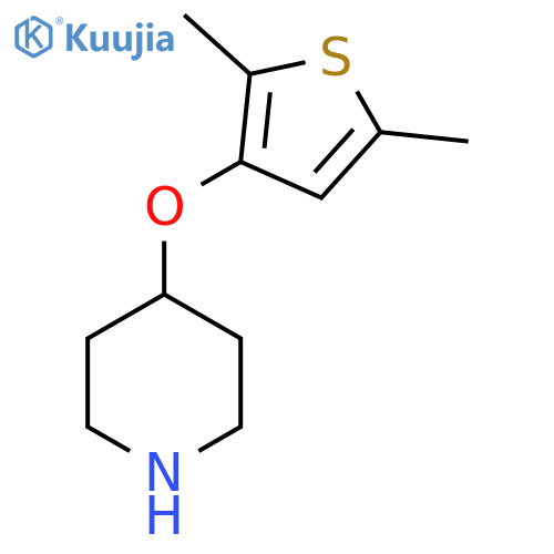 4-(2,5-dimethylthiophen-3-yl)oxypiperidine structure
