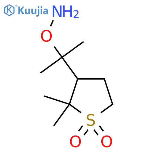 3-2-(aminooxy)propan-2-yl-2,2-dimethyl-1lambda6-thiolane-1,1-dione structure