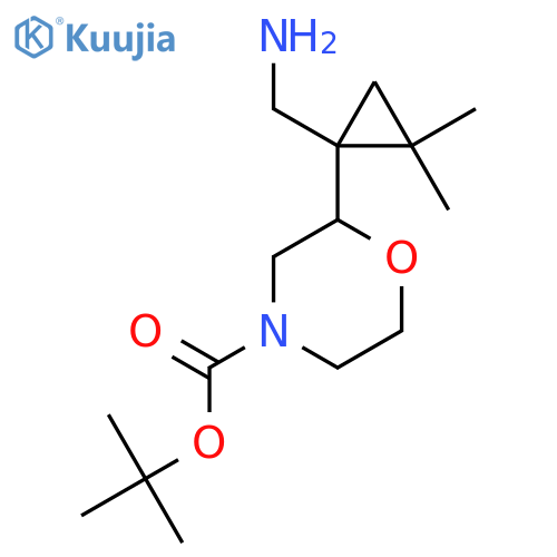 tert-butyl 2-1-(aminomethyl)-2,2-dimethylcyclopropylmorpholine-4-carboxylate structure