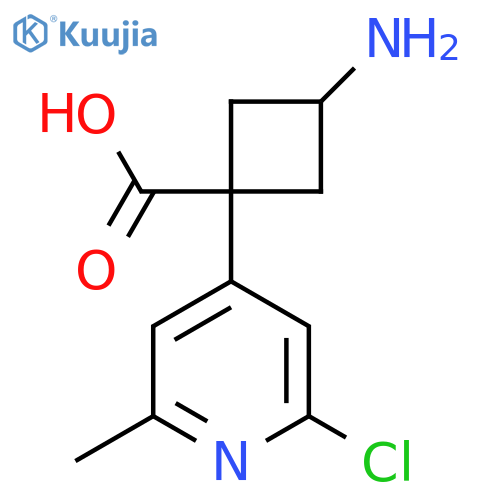 3-amino-1-(2-chloro-6-methylpyridin-4-yl)cyclobutane-1-carboxylic acid structure