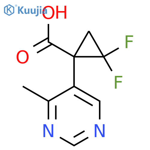 2,2-difluoro-1-(4-methylpyrimidin-5-yl)cyclopropane-1-carboxylic acid structure