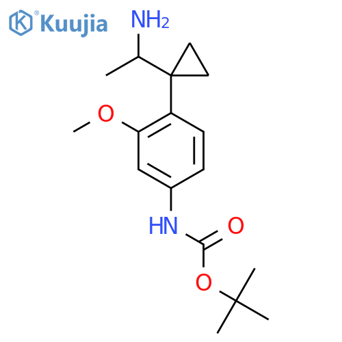 tert-butyl N-{4-1-(1-aminoethyl)cyclopropyl-3-methoxyphenyl}carbamate structure