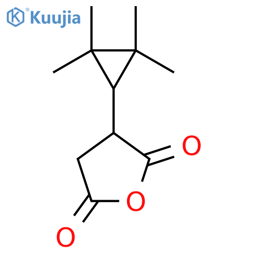 3-(2,2,3,3-tetramethylcyclopropyl)oxolane-2,5-dione structure