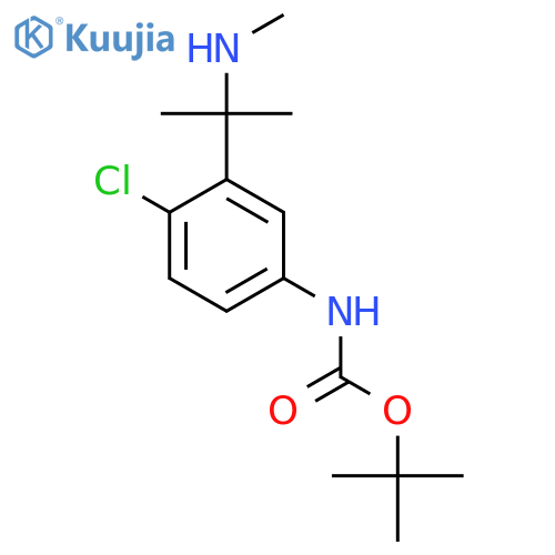 tert-butyl N-{4-chloro-3-2-(methylamino)propan-2-ylphenyl}carbamate structure