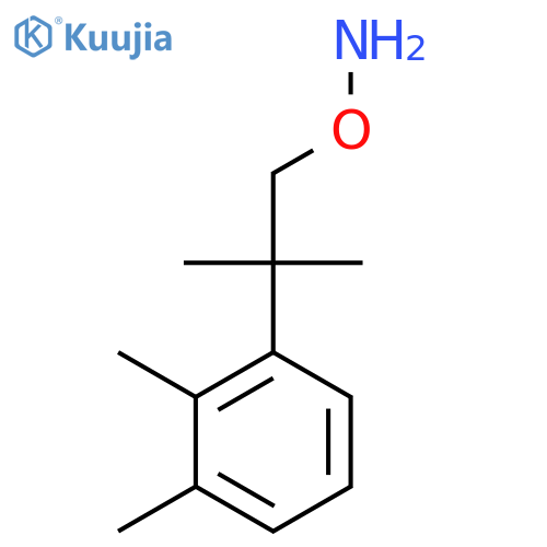 O-2-(2,3-dimethylphenyl)-2-methylpropylhydroxylamine structure
