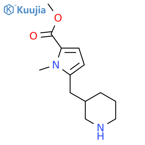 methyl 1-methyl-5-(piperidin-3-yl)methyl-1H-pyrrole-2-carboxylate structure