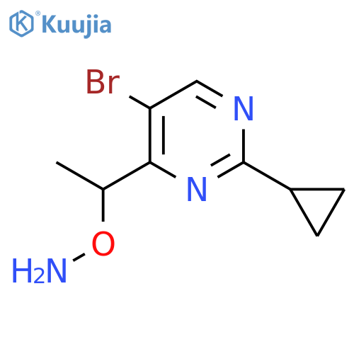 O-1-(5-bromo-2-cyclopropylpyrimidin-4-yl)ethylhydroxylamine structure