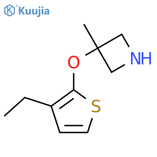 3-(3-ethylthiophen-2-yl)oxy-3-methylazetidine structure