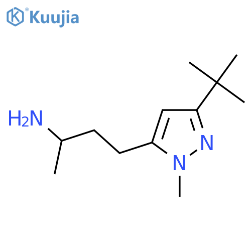 4-(3-tert-butyl-1-methyl-1H-pyrazol-5-yl)butan-2-amine structure