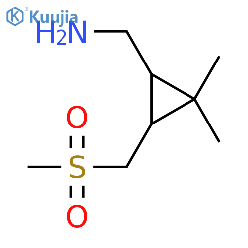 3-(methanesulfonylmethyl)-2,2-dimethylcyclopropylmethanamine structure