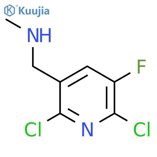 (2,6-dichloro-5-fluoropyridin-3-yl)methyl(methyl)amine structure
