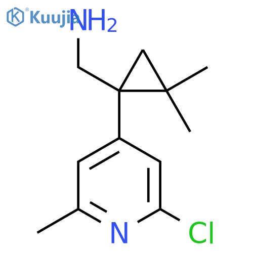1-(2-chloro-6-methylpyridin-4-yl)-2,2-dimethylcyclopropylmethanamine structure