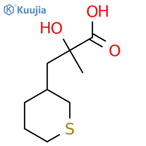 2-hydroxy-2-methyl-3-(thian-3-yl)propanoic acid structure