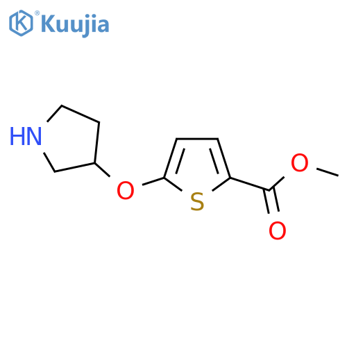 methyl 5-(pyrrolidin-3-yloxy)thiophene-2-carboxylate structure