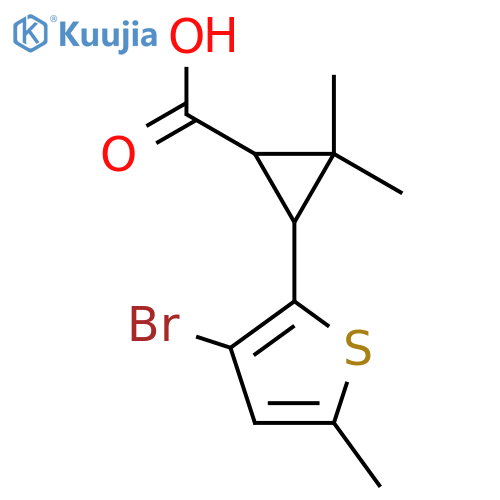 3-(3-bromo-5-methylthiophen-2-yl)-2,2-dimethylcyclopropane-1-carboxylic acid structure