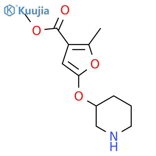 methyl 2-methyl-5-(piperidin-3-yloxy)furan-3-carboxylate structure