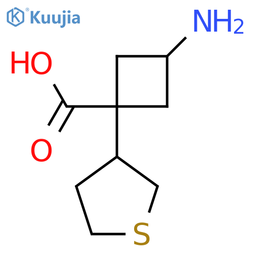 3-amino-1-(thiolan-3-yl)cyclobutane-1-carboxylic acid structure