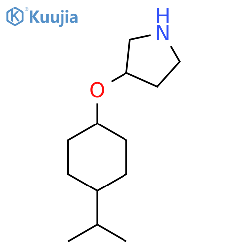 3-{4-(propan-2-yl)cyclohexyloxy}pyrrolidine structure