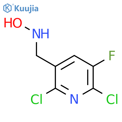 N-(2,6-dichloro-5-fluoropyridin-3-yl)methylhydroxylamine structure