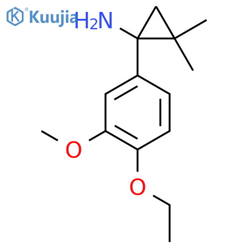 1-(4-ethoxy-3-methoxyphenyl)-2,2-dimethylcyclopropan-1-amine structure