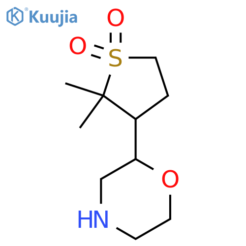 2,2-dimethyl-3-(morpholin-2-yl)-1lambda6-thiolane-1,1-dione structure