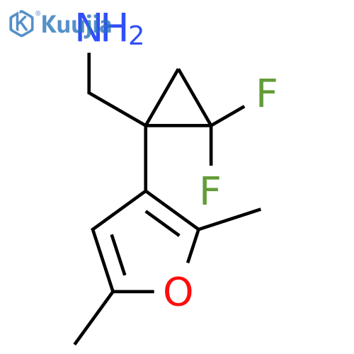 1-(2,5-dimethylfuran-3-yl)-2,2-difluorocyclopropylmethanamine structure
