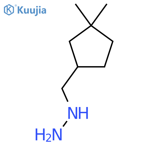 (3,3-dimethylcyclopentyl)methylhydrazine structure