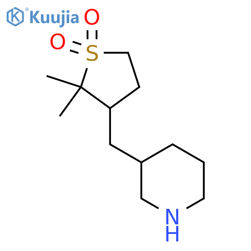 2,2-dimethyl-3-(piperidin-3-yl)methyl-1lambda6-thiolane-1,1-dione structure
