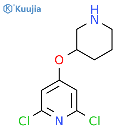 2,6-dichloro-4-(piperidin-3-yloxy)pyridine structure