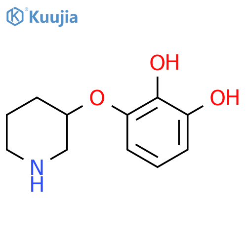 3-(piperidin-3-yloxy)benzene-1,2-diol structure
