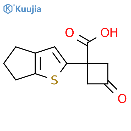 1-{4H,5H,6H-cyclopentabthiophen-2-yl}-3-oxocyclobutane-1-carboxylic acid structure