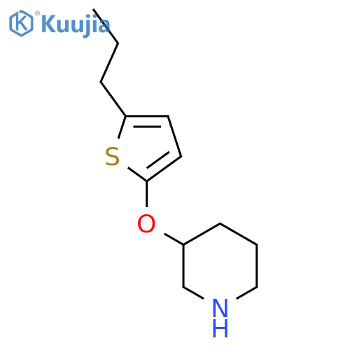 3-(5-propylthiophen-2-yl)oxypiperidine structure