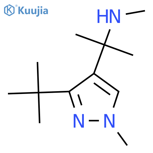 2-(3-tert-butyl-1-methyl-1H-pyrazol-4-yl)propan-2-yl(methyl)amine structure