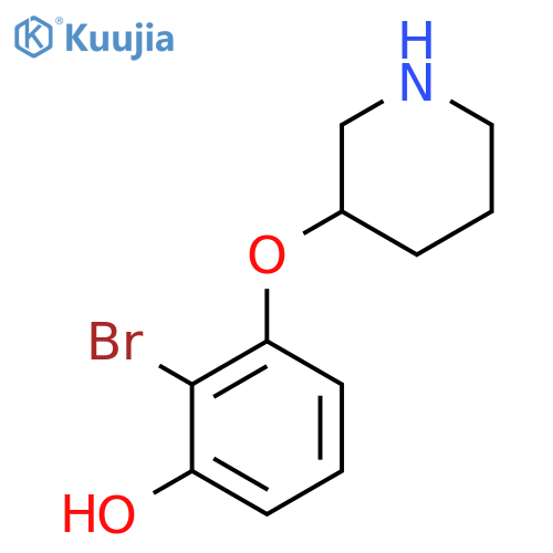 2-bromo-3-(piperidin-3-yloxy)phenol structure