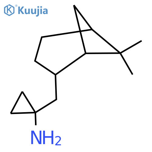 1-({6,6-dimethylbicyclo3.1.1heptan-2-yl}methyl)cyclopropan-1-amine structure