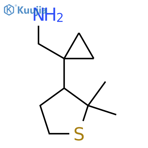 1-(2,2-dimethylthiolan-3-yl)cyclopropylmethanamine structure